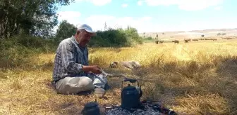 Yozgat'ta Çobanların Vazgeçilmezi: Kara Demlik Çayı