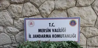 Mersin'de Uyuşturucu Operasyonu: 3 Gözaltı