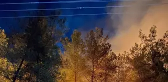 Muğla'da Orman Yangınlarına Müdahale Başladı