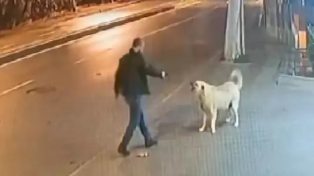 Sokak köpeğinin üzerine yürüyüp silah çekti cümlesinin Arapça tercümesi:

