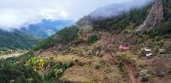 Zigana Dağı Geçidi'nde Sonbahar Renkleri