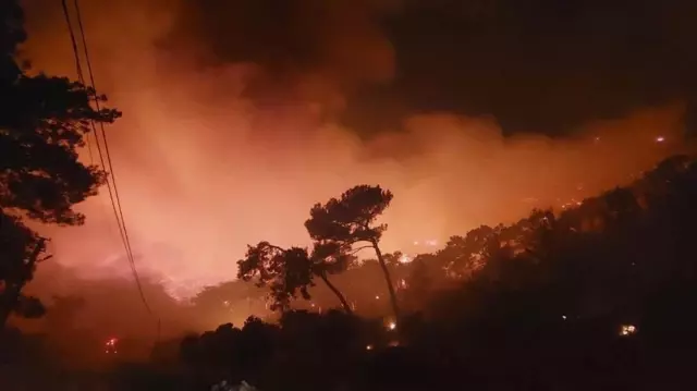 A forest fire in Dalaman grew due to the wind's influence, and the flames approached two neighborhoods.