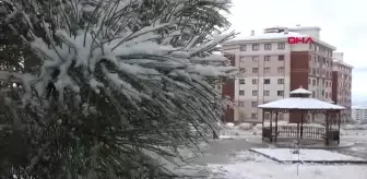 Erzurum'da Kar Yağışı Başladı, Hava Sıcaklıkları Eksi 4 Dereceye Düştü