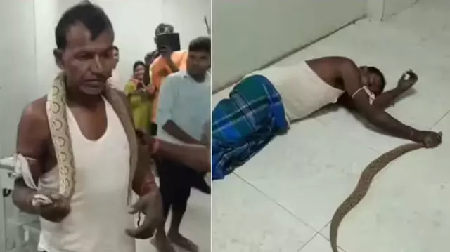 The man bitten by a snake in India wrapped the snake around his neck and went to the hospital.