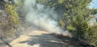 Alanya'da Yerleşim Yerlerine Yakın Orman Yangını Çıktı