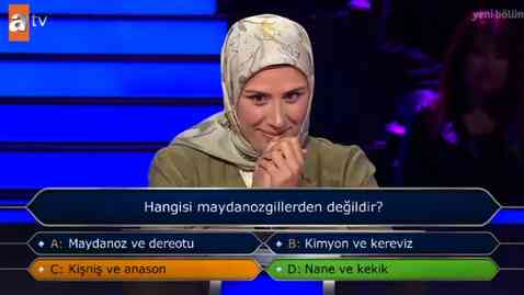 Maydanozgiller nelerdir? Hangisi maydanozgillerden değildir? Maydanozgiller nelerdir? Hangisi maydanozgillerden değildir?