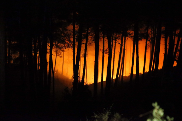 Forest fire in 3 regions of Muğla! Teams are racing against time