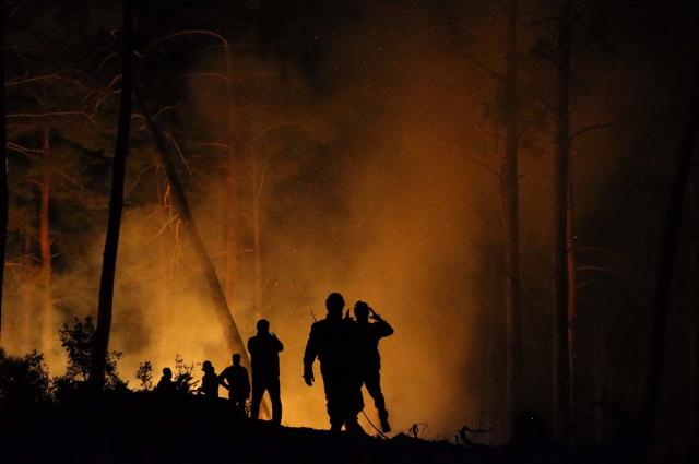 Forest fire in 3 regions of Muğla! Teams are racing against time