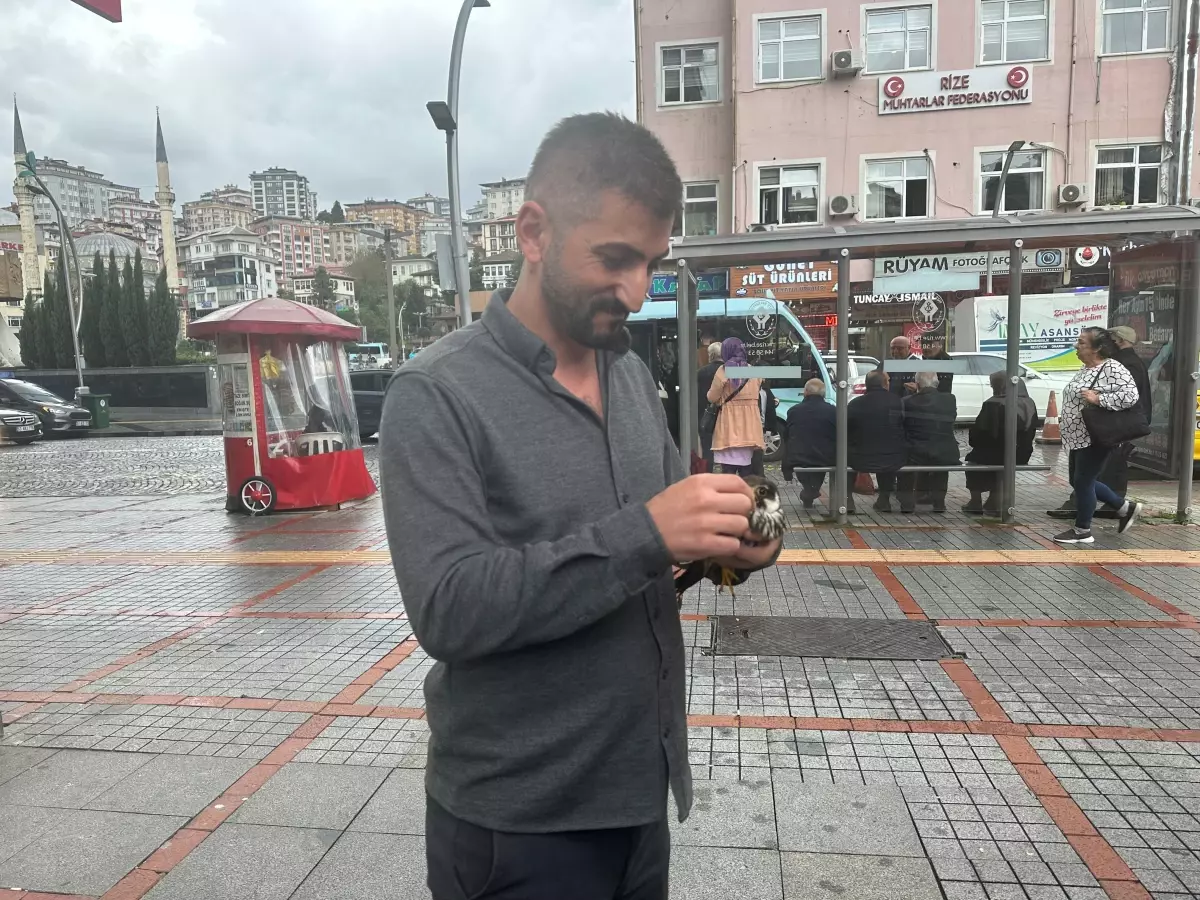 Büfe İşletmecisi Doğaya Düşen Doğana Sahip Çıktı