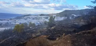 Mersin Bozyazı'da Orman Yangını Kontrol Altına Alındı