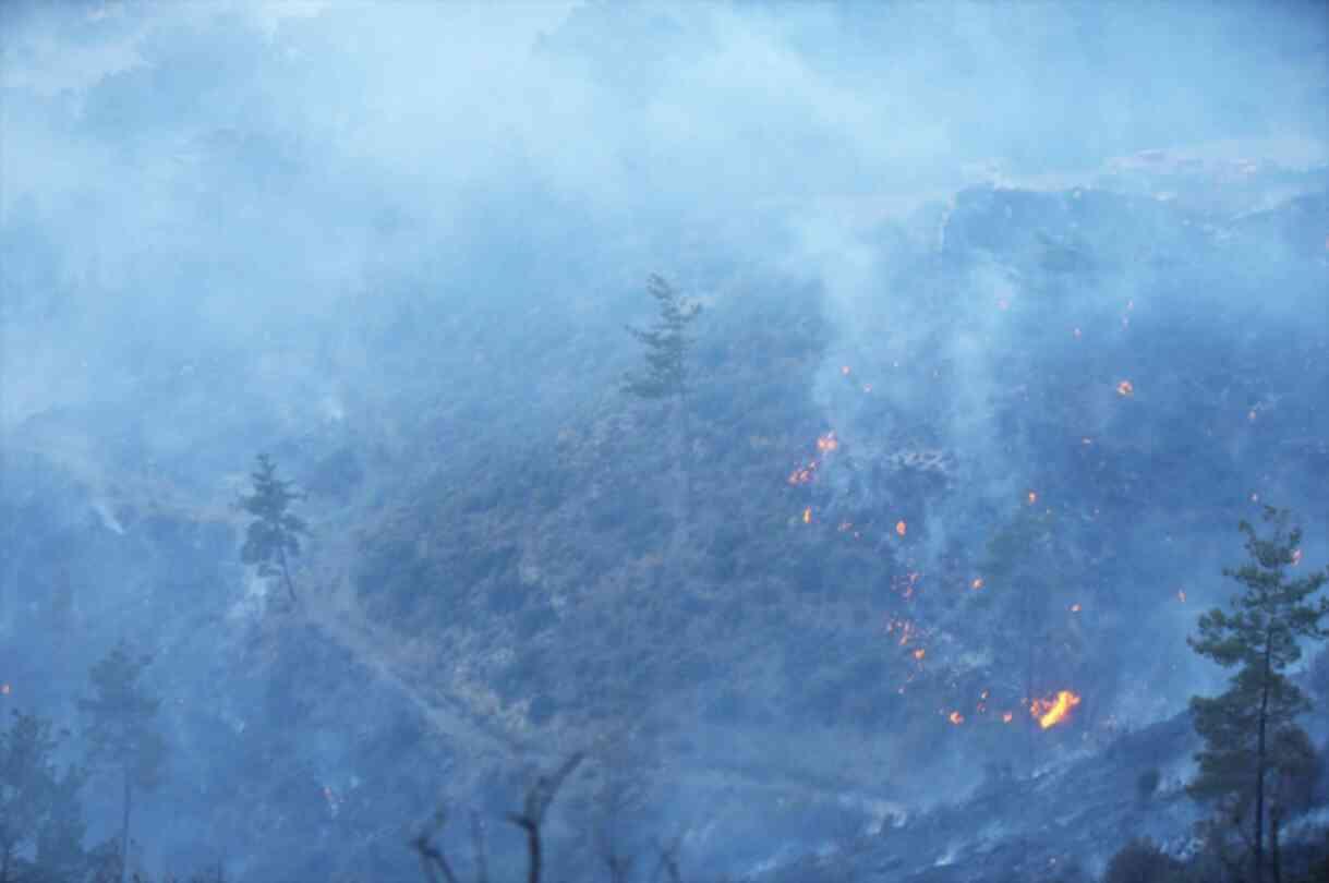 SON DAKİKA: DALAMAN'DA YANGIN! Dalaman'daki yangın söndürüldü mü? SON DAKİKA: DALAMAN'DA YANGIN! Dalaman'daki yangın söndürüldü mü?