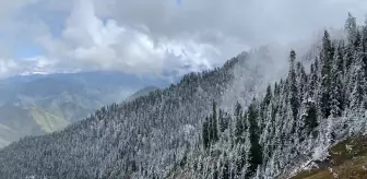 Artvin'de Kar Yağışı Yine Etkili Oldu