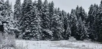 Bolu'nun Yüksek Kesimlerinde Kar Yağışı