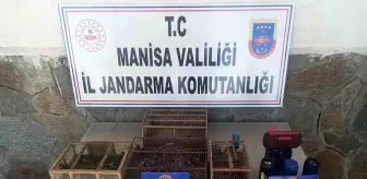 Manisa'da Saka Kuşu Avlayan 4 Kişiye 230 Bin TL Ceza