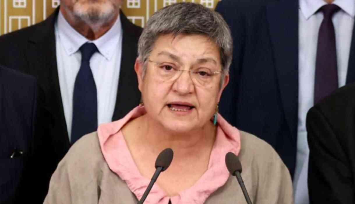 Şebnem Korur Fincancı kimdir? Şebnem Korur Fincancı kaç yaşında, nereli?