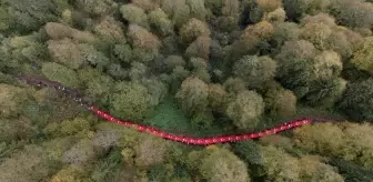 Gümüşhane'de Doğa Yürüyüşü ve Temizlik Etkinliği Düzenlendi