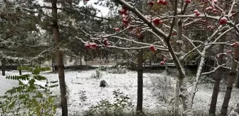 Ardahan'da Kar Manzarası