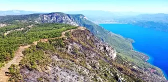 Muğla'da Çıkan Orman Yangını Kontrol Altına Alındı