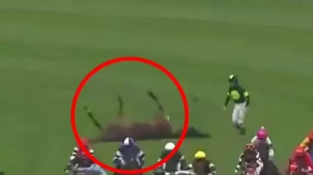 The heroic jockey risked his life to help his horse that fell during the race.