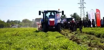 Şırnak'ta Yer Fıstığı Hasat Şenliği Düzenlendi