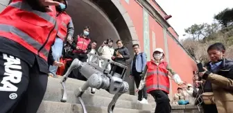 Çin'de Robot Köpekler Tai Dağı'nda Test Edildi