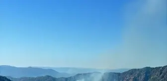 Muğla'nın Dalaman İlçesinde Orman Yangını Çıktı