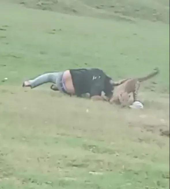 Hindistan'da piknik yapan insanlara saldıran leopar, 3 kişiyi yaraladı