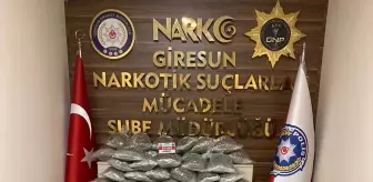 Giresun'da 55 Kilo Sentetik Uyuşturucu Ele Geçirildi