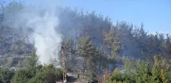 Osmaniye'de Orman Yangını Kontrol Altına Alındı