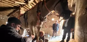 Şanlıurfa'da Nalbantlık Mesleği Yok Olma Tehlikesinde