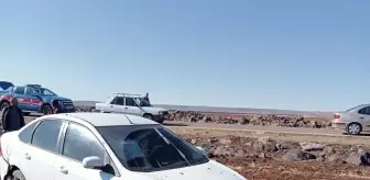 Şanlıurfa'da Trafik Kazası: 3 Yaralı