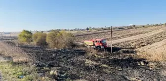 Çanakkale'de Otluk Alanda Yangın Çıktı, Müdahale Edildi