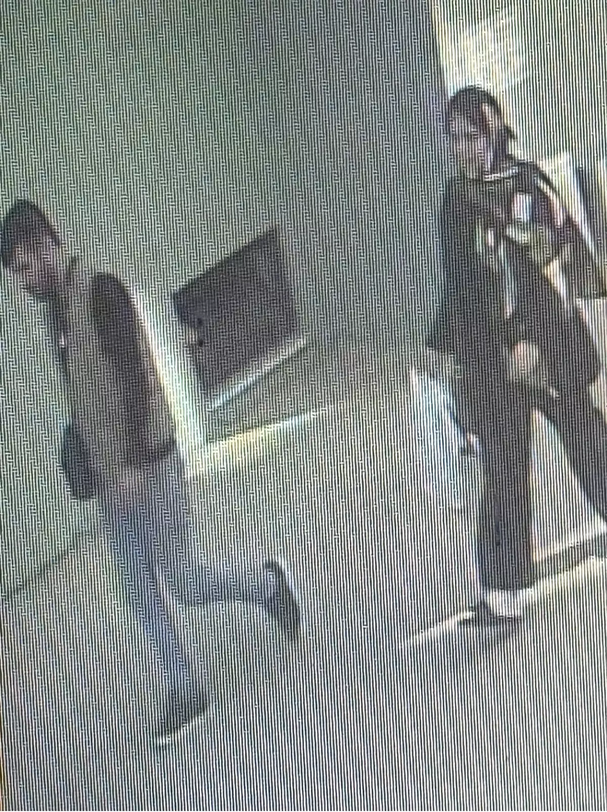 Yalova'da Kadın Cinayeti: Güvenlik Kamerasında 3 Şüpheli