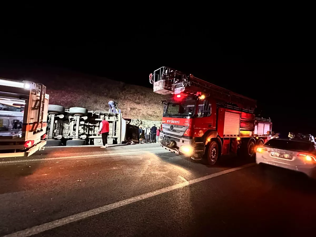Tunceli'de Devrilen TIR'da 50 Küçükbaş Hayvan Öldü