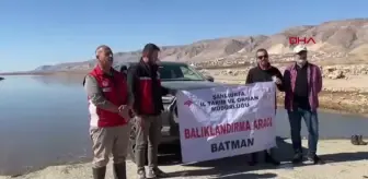 Hasankeyf'te 1 Milyon Yavru Şabut Balığı Salındı