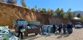 Çelikhan'da Çiftçilere Fiğ Tohumu Dağıtımı Yapıldı