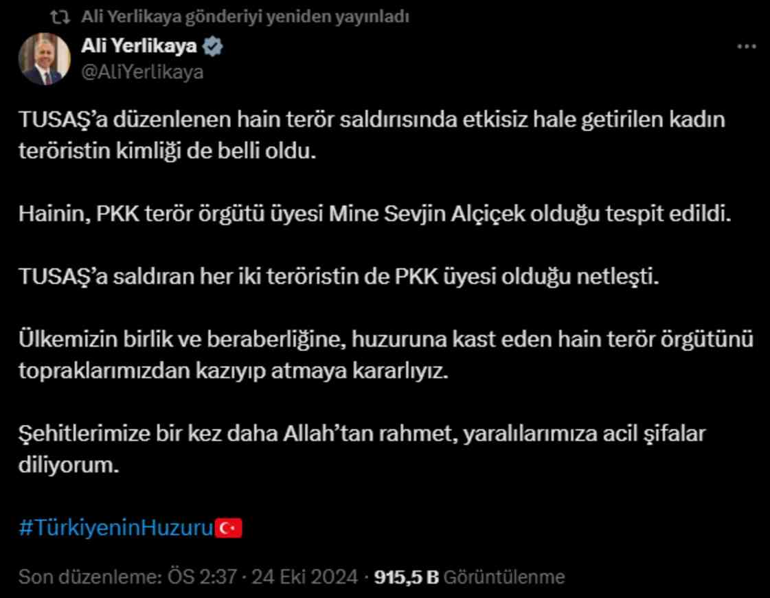 Mine Sevjin Alçiçek HDP (DEM Parti) üyesi mi? Mine Sevjin Alçiçek kimdir?