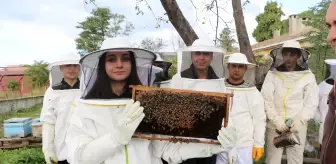 Samsun'da Öğrenciler Arıcılık Dersi ile İlk Bal Hasadını Yaptı