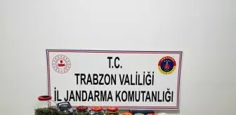 Trabzon Arsin'de Uyuşturucu Operasyonu: 7 Kilo Esrar Ele Geçirildi