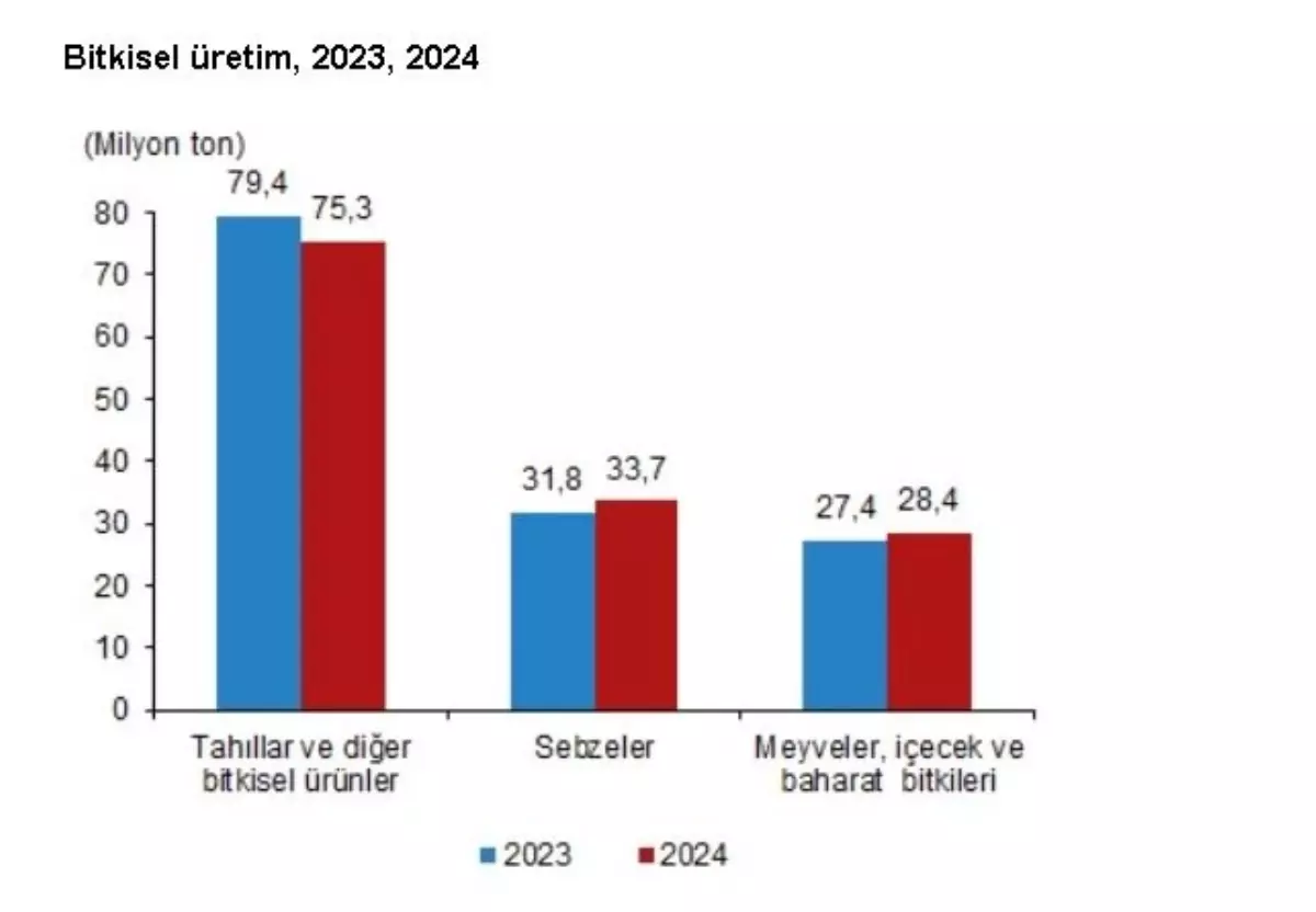 TÜİK 2024 Bitkisel Üretim Tahminlerini Açıkladı