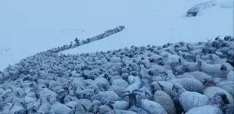 Van'da Kar Kalınlığı 20 Santimetreye Ulaştı