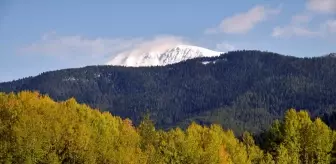 Ilgaz Dağı'nda Sonbahar ve Kış Aynı Anda Yaşanıyor