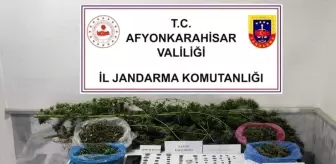 Afyonkarahisar'da Kenevir ve Tarihi Eser Operasyonu