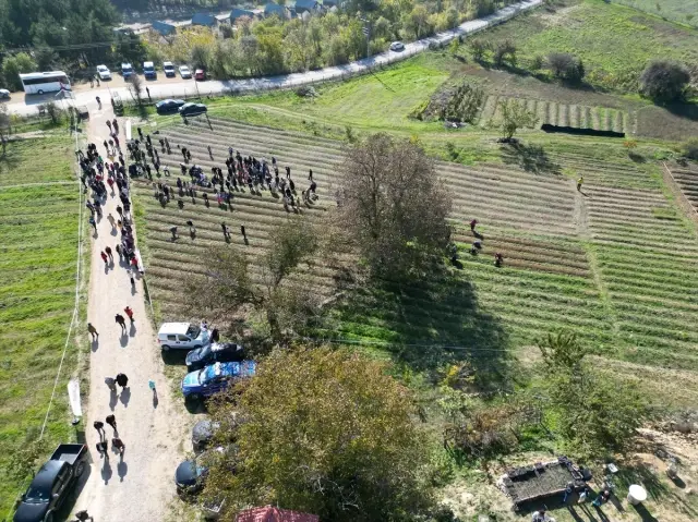 Dünyanın en pahalı baharatında hasat başladı