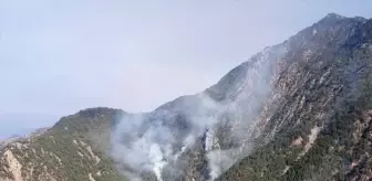 Kahramanmaraş'taki Orman Yangınına Müdahale Devam Ediyor