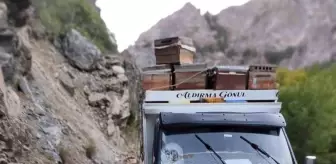 Tunceli'de Kaya Düşmesi Sonucu Arılı Kovanlar Zayi Oldu