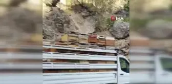 Tunceli'de Kayanın Araca Çarpması Sonucu 10 Arılı Kovan Zayi Oldu