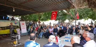 Mersin Tarımsal Üretimde Türkiye'de İlk Sırada