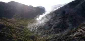 Adıyaman'da Orman Yangını Söndürme Çalışmaları Devam Ediyor