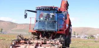 Bayburt'ta Şeker Pancarı Hasadı Devam Ediyor